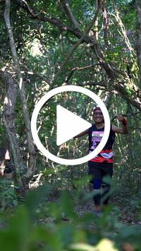 BIB:  <button type="button" onclick="openModal(28056572)" class="btn btn-primary btn-sm float-right" data-toggle="modal" data-target=".modal-high-quality">
                <i class="fa fa-download"></i> Download
                </button>